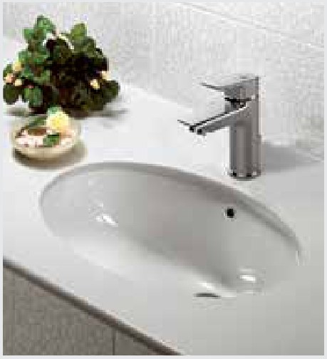 حوض BASINS